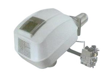 E科燃气盒式系列(功率195-2100KW)